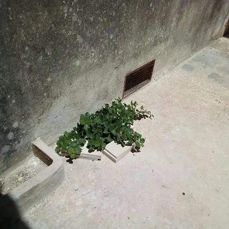 Bed & Breakfast Cortile Calinea *