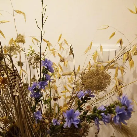 לינה וארוחת בוקר Cortile Calinea 3*