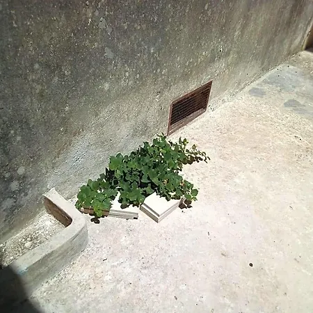 Alojamento de Acomodação e Pequeno-almoço Cortile Calinea 3*
