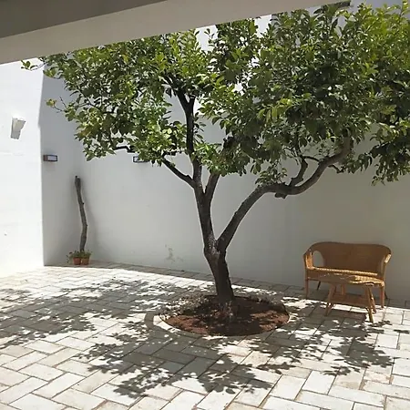 فندق مبيت وإفطار Cortile Calinea كاسترينيانو دل كابو