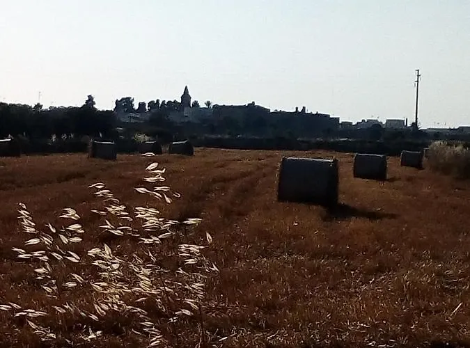 Cortile Calinea לינה וארוחת בוקר קסטריניאנו דל קאפו